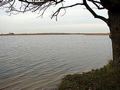 Category:Martham Broad - Wikimedia Commons