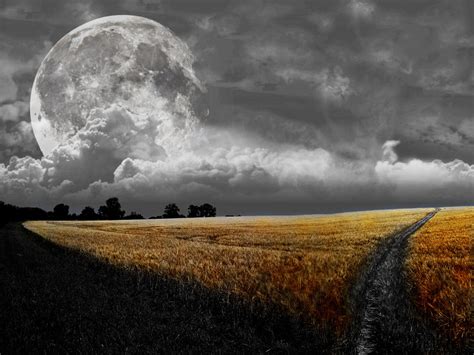 Surreal landscape by MagooPV on DeviantArt