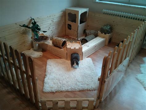 01Rabbit Play Area Rabbit Cages, Bunny Cages, Diy Guinea Pig Cage, Guinea Pig House, Guinea Pigs ...