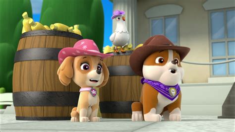 Paw Patrol - S1E115 - Pups Save a Hoedown/Pups Save Alex | Knowledge Kids