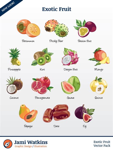 Exotic Fruit Vector Illustration Pack set of 14 / Clip Art - Etsy