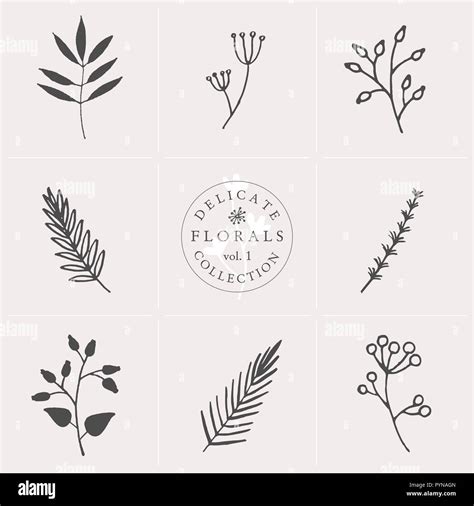 A set of nine hand drawn floral elements in gray and white isolated on pastel pink background ...
