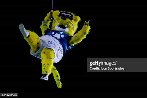 585 Jacksonville Jaguars Mascot Photos & High Res Pictures - Getty Images