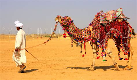 Camel Safari in Rajasthan,Desert Safari Tour in Rajasthan