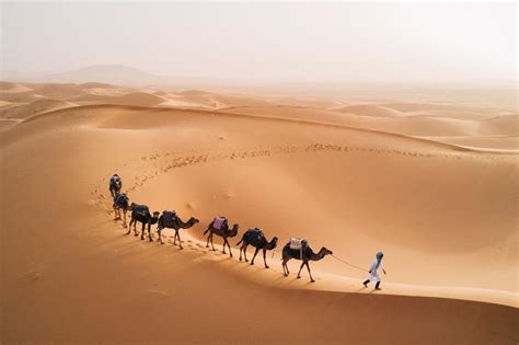 The world's last surviving nomads | loveexploring.com