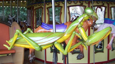 National Carousel Association - Sacramento Zoo - Carousel Works Praying Mantis