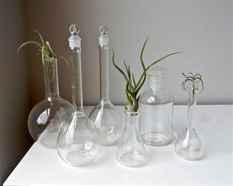 6 Lab Bottles Clear Glass Science Bottles