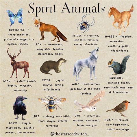 Alice Rachel Kendall Singh on Instagram: "Just a few animals mentioned here with some of their ...