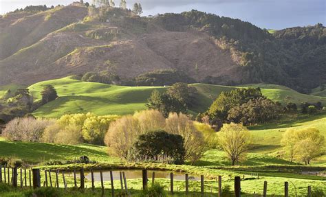 West Auckland Countryside | Auckland Shore Excursion | Australia New Zealand Cruise Tours