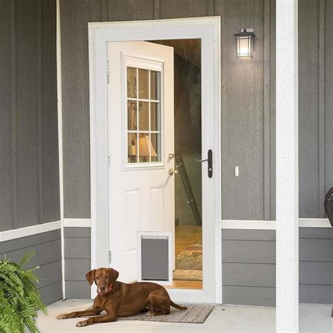 LARSON Signature Pet Door 32-in x 81-in Almond Full-View Aluminum Storm ...