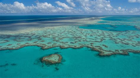 SNAPSHOT: Relief for the Great Barrier Reef after favourable summer conditions | Townsville Bulletin