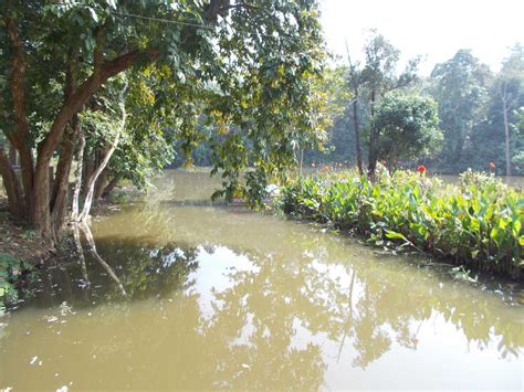 Hazaribagh national park, Hazaribagh Bihar