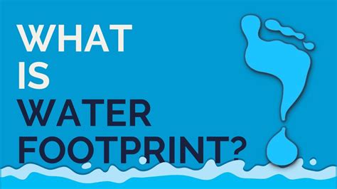 What is a Water Footprint? - YouTube