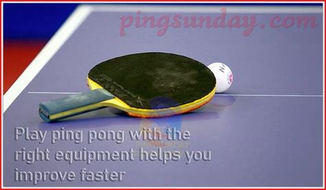 Basic ping pong equipment for beginner - PingSunday