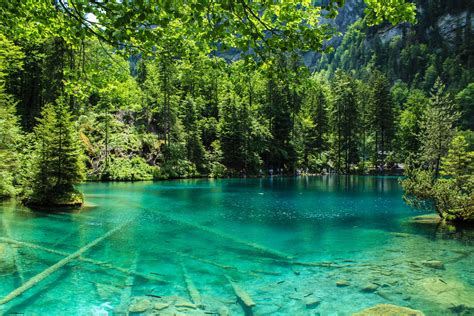 Faszinierender Blausee in der Schweiz | Urlaubsguru.de