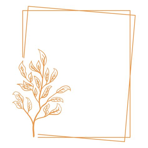 Minimalist Floral Frame 11459019 PNG