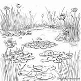 Habitat Coloring Pages  Free & Printable sketch template