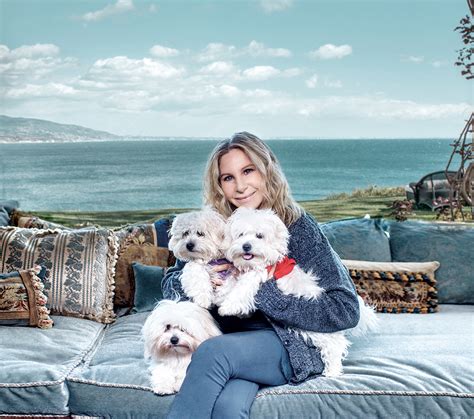 Ethics Quiz: Barbra’s Cloned Dogs | Ethics Alarms