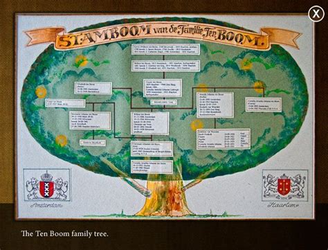 The Ten Boom family tree. | Corrie ten boom, Family tree, Ten