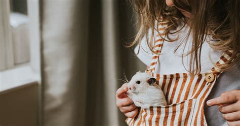 23 Low Maintenance Pets That Still Give all the Love - PureWow