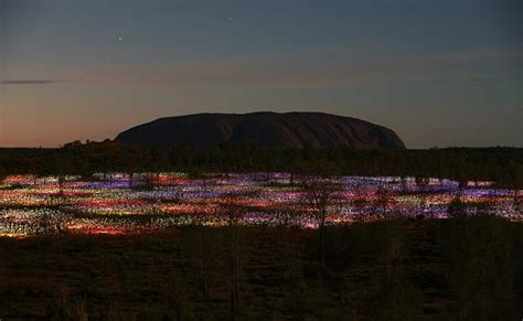 Guide to Uluru's 'Field of Light' installation by Bruce Munro | Jetstar