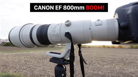 Das 13.000€-Objektiv von Canon!! | Canon 800mm f/5.6L IS USM - YouTube