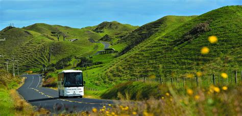 Travel Daily | Grand Pacific Tours - NZ Travel Update 1 April