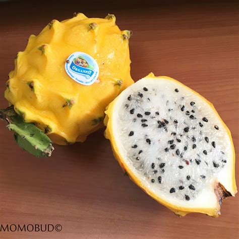 The Rare and Sweetest Dragonfruit: Yellow Dragonfruit/Pitahaya — MomoBud