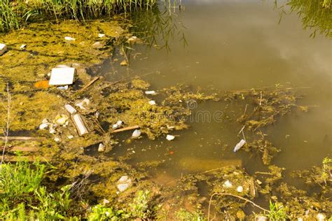 Pollution Filled Dirty Water Pond Stock Image - Image of backdrop, dirty: 56713743