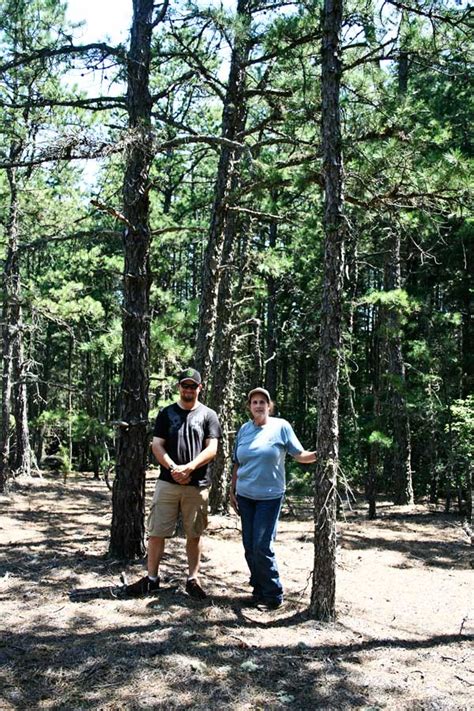 The New Jersey Pine Barrens | Norcross Wildlife Sanctuary & Foundation