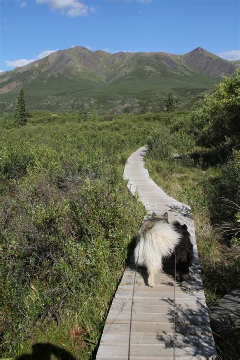 Hiking the North Klondike River Trail, and the Edge of the Arctic ...