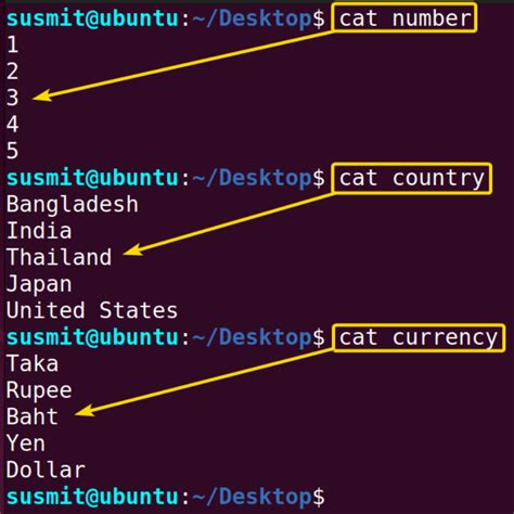 The “paste” Command in Linux [6 Practical Examples]