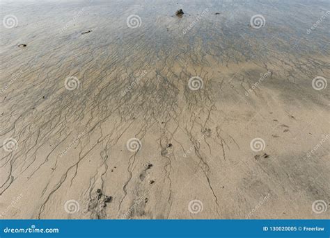 Ripple marks on sand beach stock image. Image of sand - 130020005