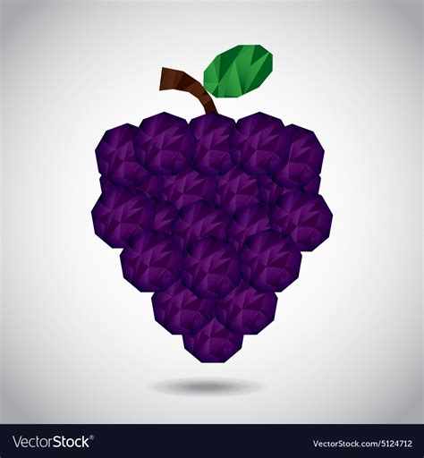 Abstract fruit Royalty Free Vector Image - VectorStock