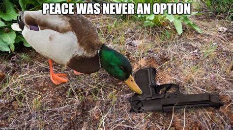 Funny Duck Hunting Gifs