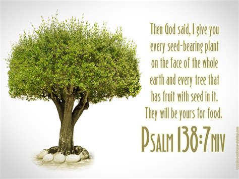 Bible Quotes On Trees. QuotesGram