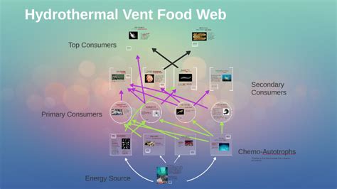 Hydrothermal Vent Ecosystem by Hannah Dick on Prezi