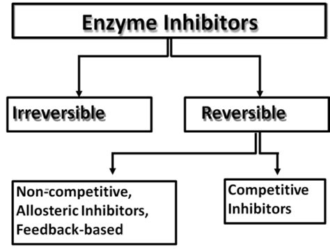 REVERSIBLE AND IRREVERSIBLE ENZYME INHIBITORS Flashcards | Quizlet