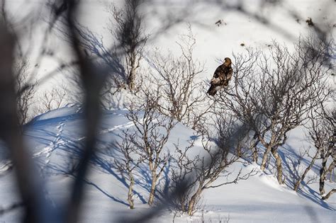 Nature photography, Norway on Behance