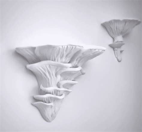 Mushroom shelf “Pleurotus Djamor” - 3D model by gazzaladra on Thangs