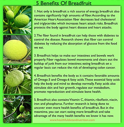 Health Benefits of Breadfruit | Healthful Diet And Nutrition ...