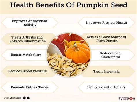 Benefits of Pumpkin Seed And Its Side Effects | Lybrate