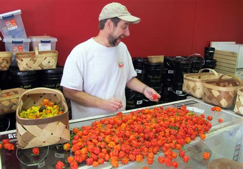 World's hottest pepper hits 2.2 million Scoville heat units - Los Angeles Times