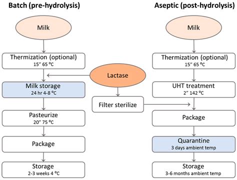 Cow Milk Production Process