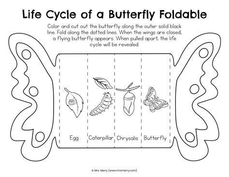 Life Cycle Of A Butterfly Printable - prntbl.concejomunicipaldechinu.gov.co