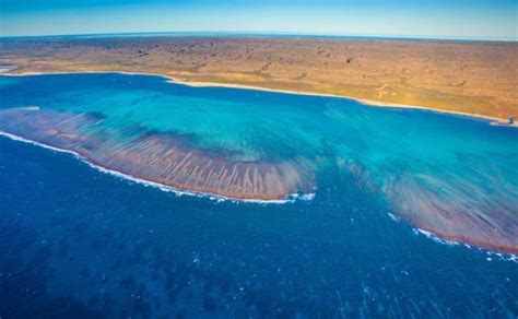 Ningaloo-Reef – Viaggi in Australia