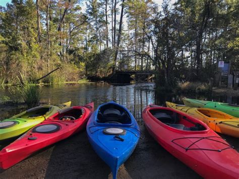 An Afternoon Kayaking in Alligator River National Wildlife Refuge ...