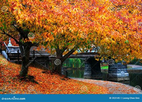 Autumn In Boston Royalty Free Stock Photo - Image: 353145