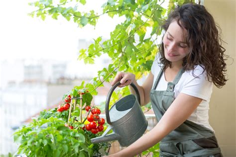 12 Tomato Growth Hacks for a High Yield Harvest - Gardening