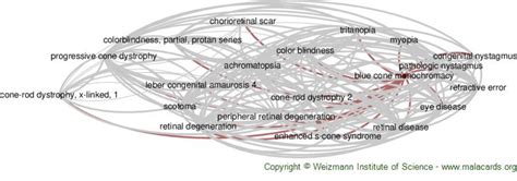 Blue Cone Monochromacy disease: Malacards - Research Articles, Drugs ...